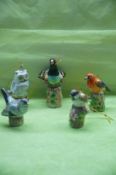 Сова на дереве - птички на дереве