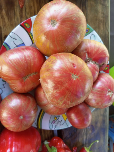 Томат гном Металлика (Dwarf Metallica)