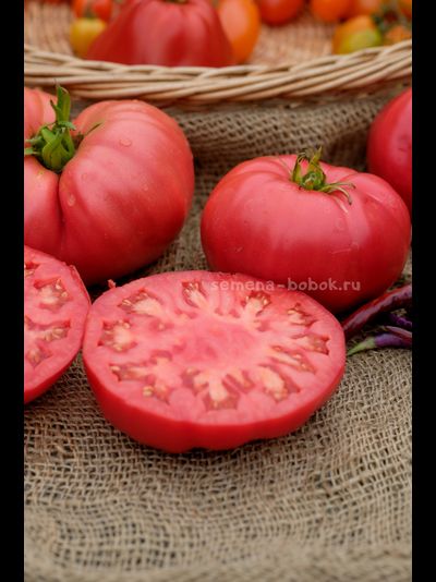 Томат Минусинский Безразмерный, 10 шт