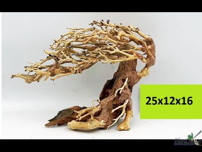 Коряга SwetAqua 012s  "Дерево Бонсай" 25x12x16