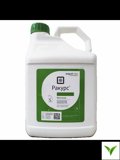 Ракурс СК 5л