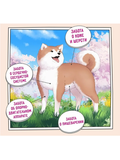 ZILLII Adult Large Breed Корм сухой для взрослых собак крупных пород Индейка с Ягненком 15 кг