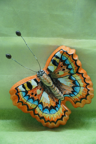 Бабочка малая