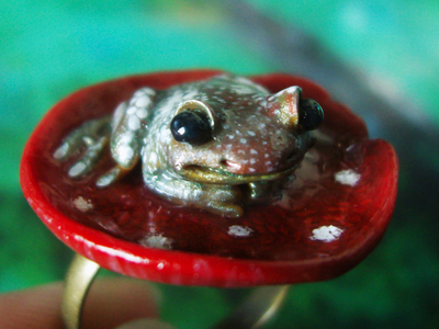 Сказочное кольцо с лягушкой и мухомором "Жду принца!"