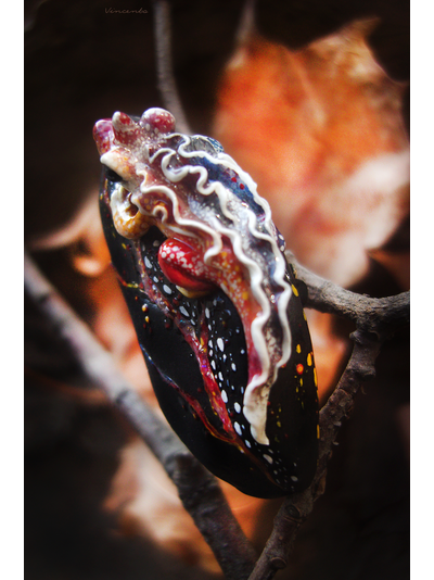 "Саламандра, дитя пламени", миниатюрная фэнтези-брошь (4,5 см)