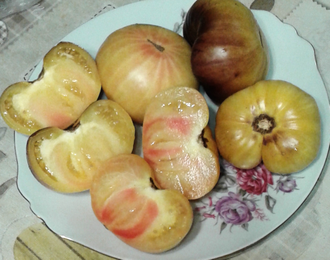 Семена томата Большой Желто - Синий