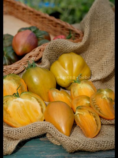 Томат Severe Melon (Суровая Дыня немцев Поволжья), 10 шт