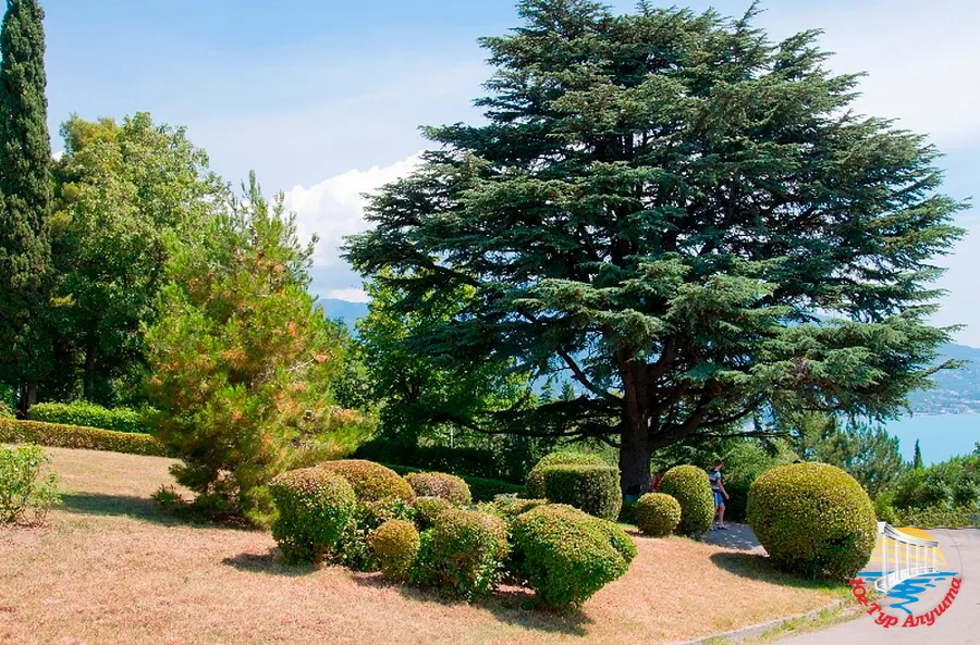 Парк в Ливадии