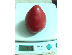 Томат Люсиль Тилсон (Lucille Tillson) США