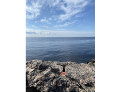 Духи НОТА: БРУТАЛЬНАЯ 2,5 мл