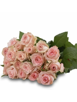 Букет роз Кимберли