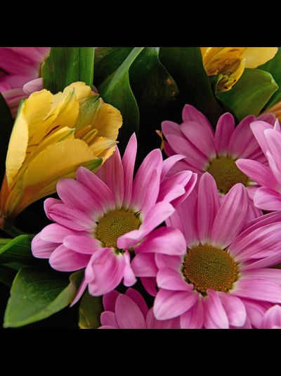 Букет из хризантем и альстромерии