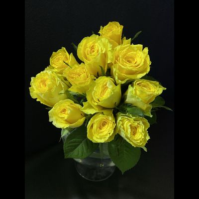 Роза Кения 11 шт