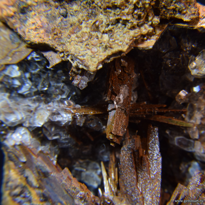 Гипс и псиломелан в полости ракушки. 56*44*35мм