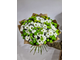 Кустовая хризантема 25 шт микс