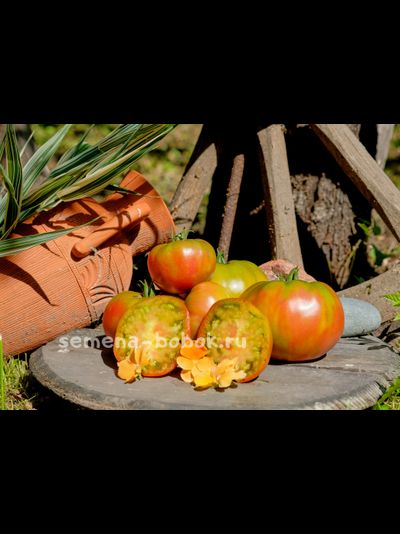 Томат Медная река (Copper River/Купер Ривер), 10 шт.