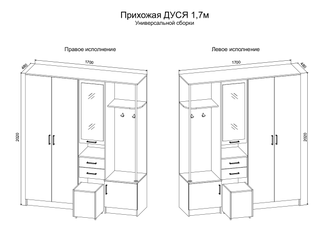 Прихожая Дуся (ДСВ)