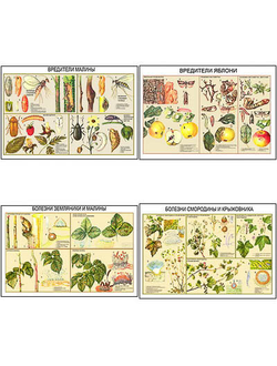 Плакаты ПРОФТЕХ "Вредители и болезни плодово-ягодных культур" (11 пл, винил, 70х100)