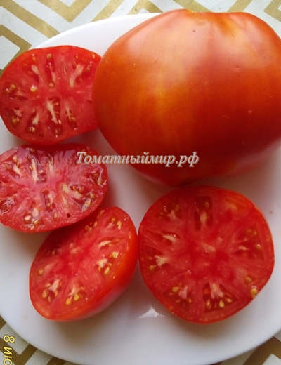 Томат Углерод + Бабушкино бычье сердце