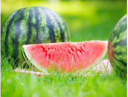 Семена арбуза