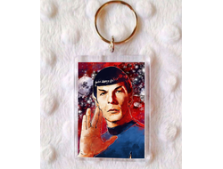 Брелок акриловый Star Trek, Стартрек №9