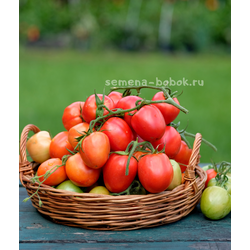 Томат Царица Полей, 10 шт