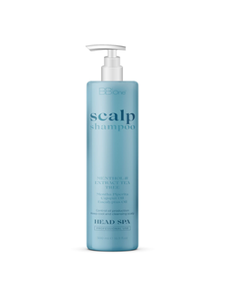 Шампунь Scalp Shampoo BB One