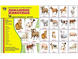 Демонстрационные карточки "Домашние животные" (размер большой,16 штук)