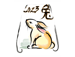 Сумка-мешок для обуви год Кролика №5