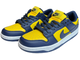 Nike Air Force 1 SB Dunk Low Michigan