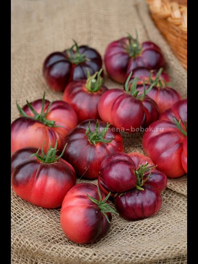 Томат Пленительный Аметист, 10 шт