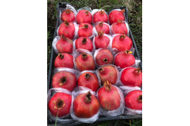 Продукты народного потребления: