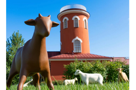 Фигуры для арт инсталляции в музее "Царское Село"