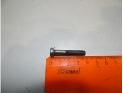 Болт М 6 (для моторов)