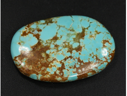 Бирюза, полировка плоская, США, Невада (34*22*5 мм, 6,4 г) №37843