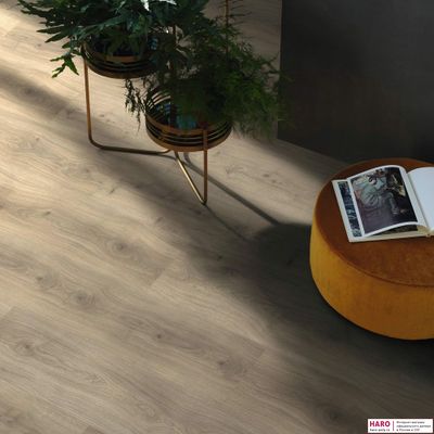 Ламинат Haro Tritty 200 Gran Via Aqua Дуб Эмилия Вельвет Серый 540271 33 класс толщина 8 мм с фаской 2.68 м2