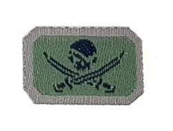 Шеврон Веселый Роджер - черный 1/6 (78075) - DAMTOYS