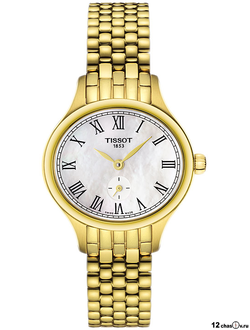 Швейцарские часы Tissot T103.110.33.113.00