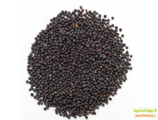 Семена "ЧЕРНОЙ ГОРЧИЦЫ", производитель Индия (Black Rai Seeds, India) 100 г