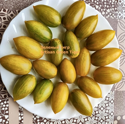 Томат черри Зеленый тигр (Artisan Green Tiger)
