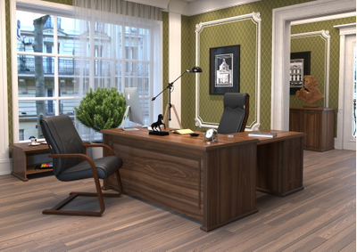 Кабинет руководителя RAUT