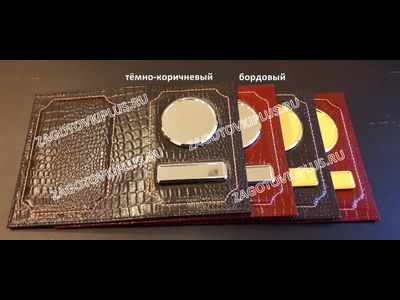 Обложка чёрная из натуральной кожи крокодила для авто документов с линзами (золотые вставки)