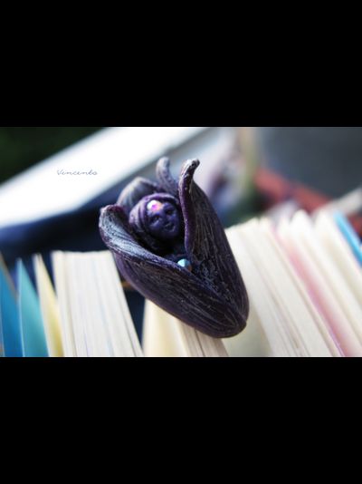 Волшебное кольцо с феей "Ночная Фея (Фея Цветов)" из коллекции необычных украшений Винсенто