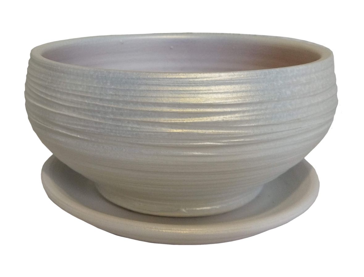 Пересадка орхидеи-фаленопсиса в домашних условиях с пошаговыми фотографиями