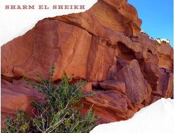5 in 1 - SALAMA CANYON + THREE POOLS + CAMEL RIDE + DAHAB + QUAD BIKING