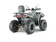 Квадроцикл YACOTA VIKING NEW 200 PRO