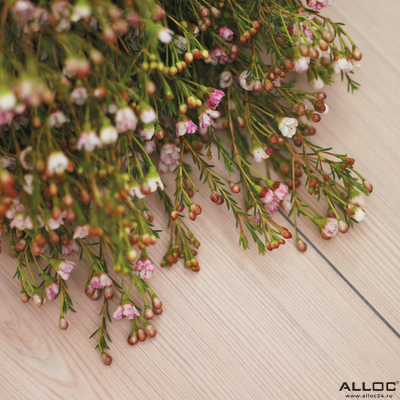 Декор ламината Alloc Original Сосна Белая 05201