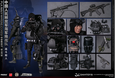 Китайский боевой пловец - КОЛЛЕКЦИОННАЯ ФИГУРКА 1/6 PLA Navy Marine Corps Combat Diver (78073) - DAMTOYS