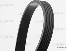 Ремень 6PK1565 поликлиновой CARBERRY аналог 5750XA 5750YE