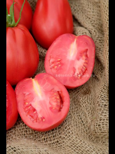 Томат Тюрбан Магриба, 10 шт